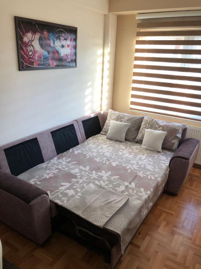 Mirkovic Lux Apartman Ni Eksteriør billede